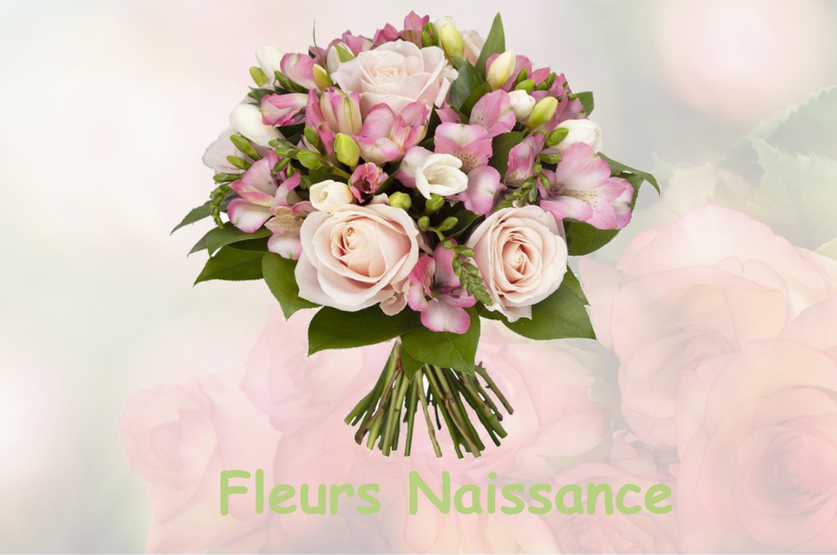fleurs naissance FERREUX-QUINCEY
